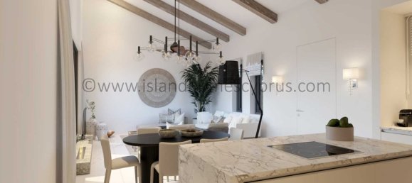 Дом с 3 спальнями в Френарос, Кипр № 24012 18