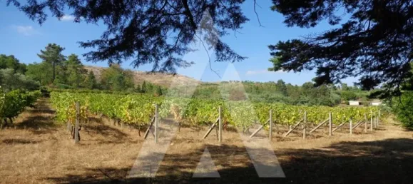 Hotel T20 em Abrunhosa a Velha, Portugal N.º 41360 47