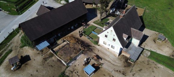 160m² Commercial property in Stallhofen, Austria No. 130329 7
