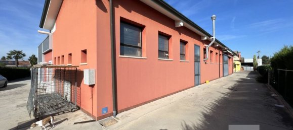 453m² Warehouse in Piombino Dese, Italy No. 276704 2