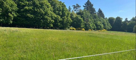 4 bedrooms Villa in Odenwaldkreis, Germany No. 103396 40