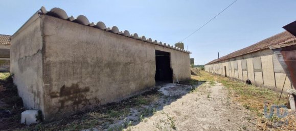 3 bedrooms House in Santarem, Portugal No. 144261 25