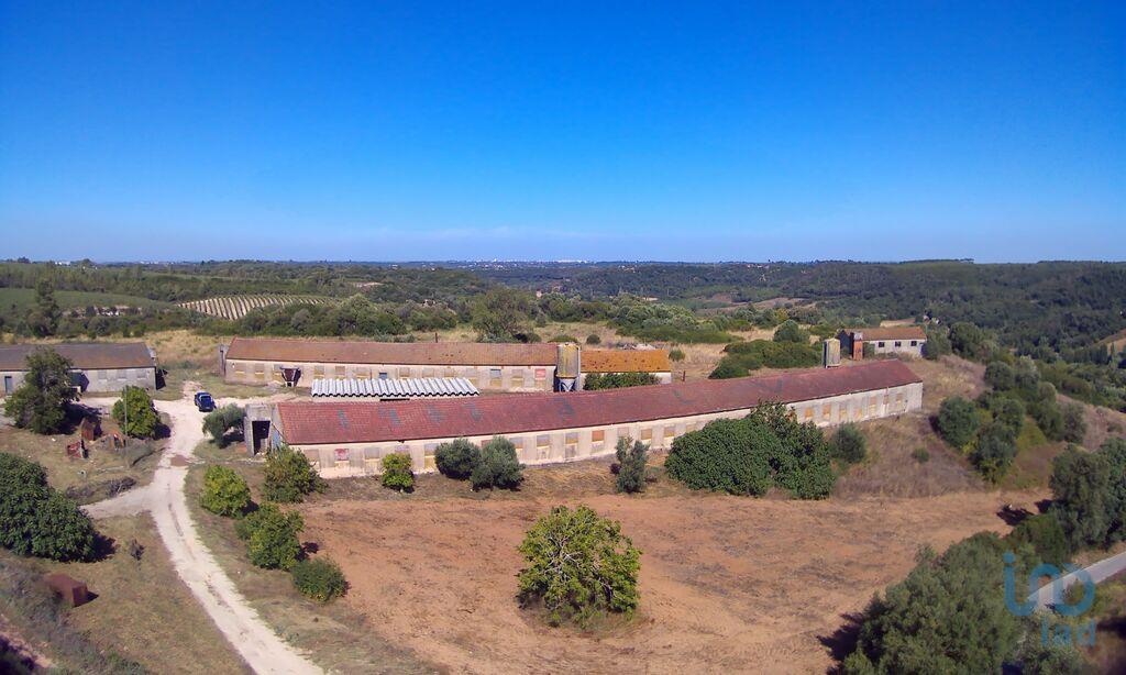 3 bedrooms House in Santarem, Portugal No. 144261