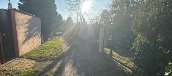 2 bedrooms Apartment in Wittenberg, Germany No. 205983 4