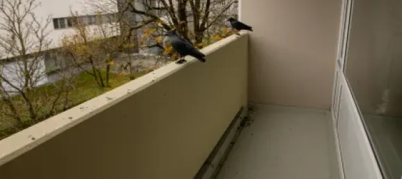 1 chambre Appartement à Munich, Germany No. 137544 8