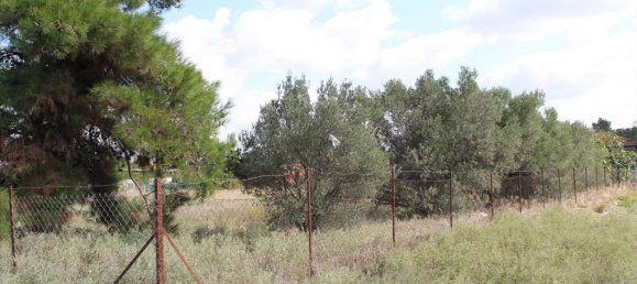 Hotel in Chalkidiki, Greece 2600m², Nr. 8093 4