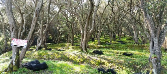 Terreno em Corfu, Greece 7000 m² N.º 100107 18