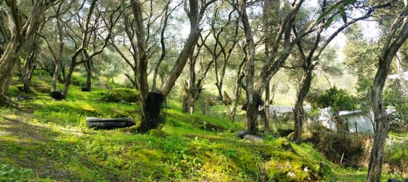 Terreno em Corfu, Greece 7000 m² N.º 100107 16