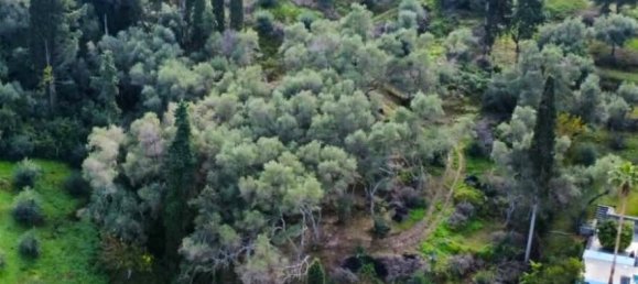 Terreno em Corfu, Greece 7000 m² N.º 100107 14