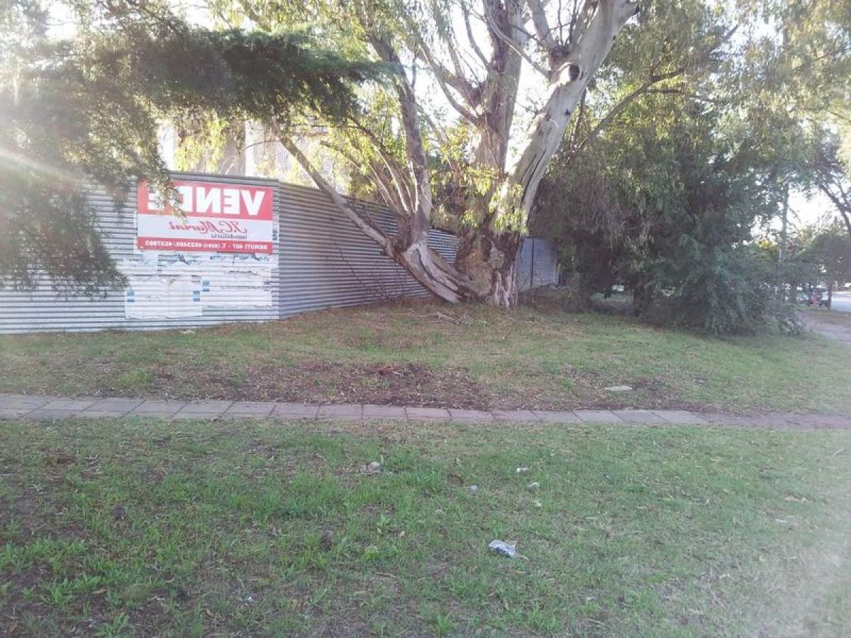  Land in Buenos Aires, Argentina No. 118911