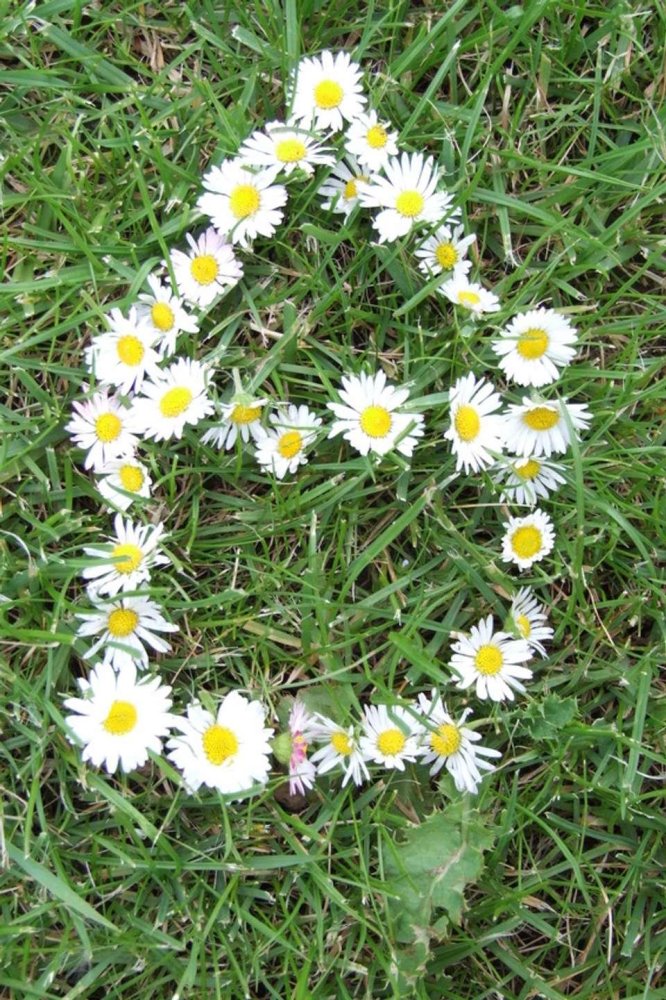 Terreno en Uelzen, Germany No. 357463