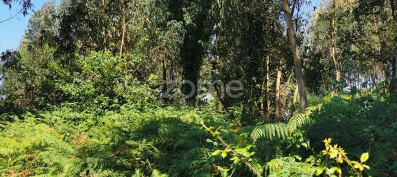 Terreno en Santa Maria da Feira, Portugal 9178 m² No. 85128 39