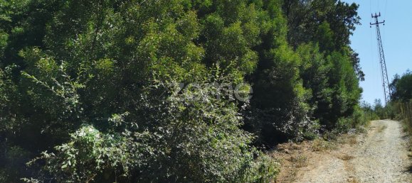 Terreno en Santa Maria da Feira, Portugal 9178 m² No. 85128 40