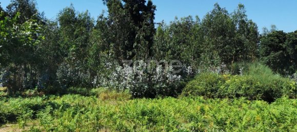 Terreno en Santa Maria da Feira, Portugal 9178 m² No. 85128 27