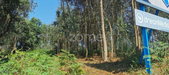 Terreno en Santa Maria da Feira, Portugal 9178 m² No. 85128 36