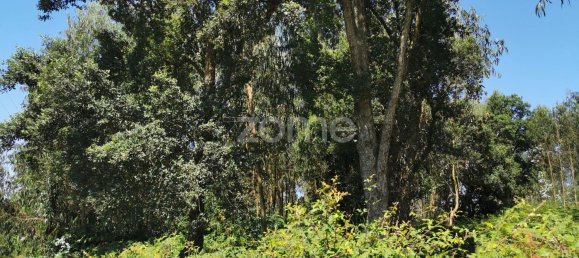 Terreno en Santa Maria da Feira, Portugal 9178 m² No. 85128 35