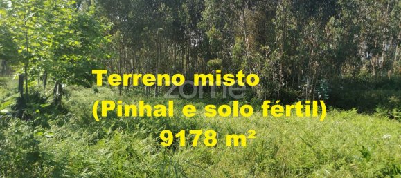 Terreno en Santa Maria da Feira, Portugal 9178 m² No. 85128 29