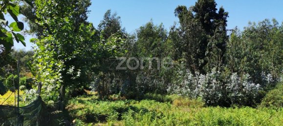 Terreno en Santa Maria da Feira, Portugal 9178 m² No. 85128 28