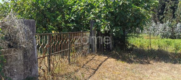 Terreno en Santa Maria da Feira, Portugal 9178 m² No. 85128 24