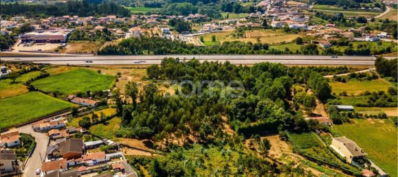 Terreno en Santa Maria da Feira, Portugal 9178 m² No. 85128 6