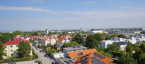 5 rooms Penthouse in Brunn am Gebirge, Austria No. 262461 17