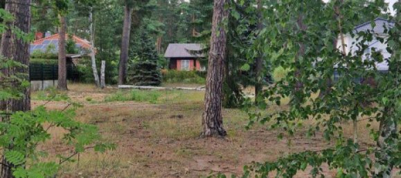 Terrain à Barnim, Germany No. 60831 5