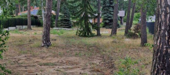 Terrain à Barnim, Germany No. 60831 4