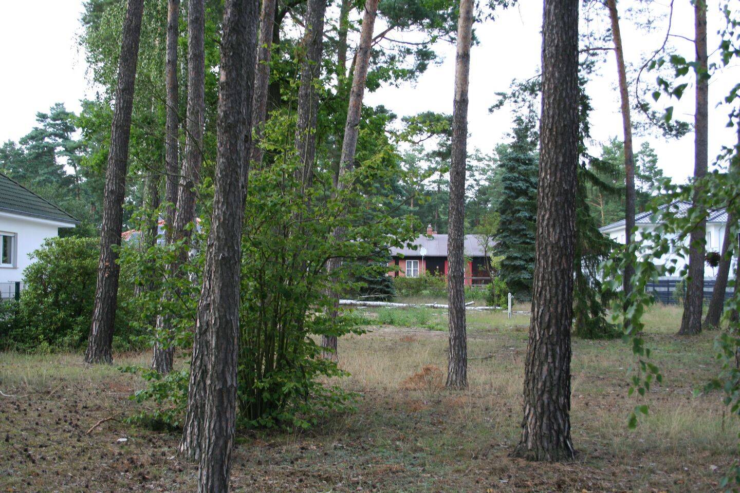 Terrain à Barnim, Germany No. 60831