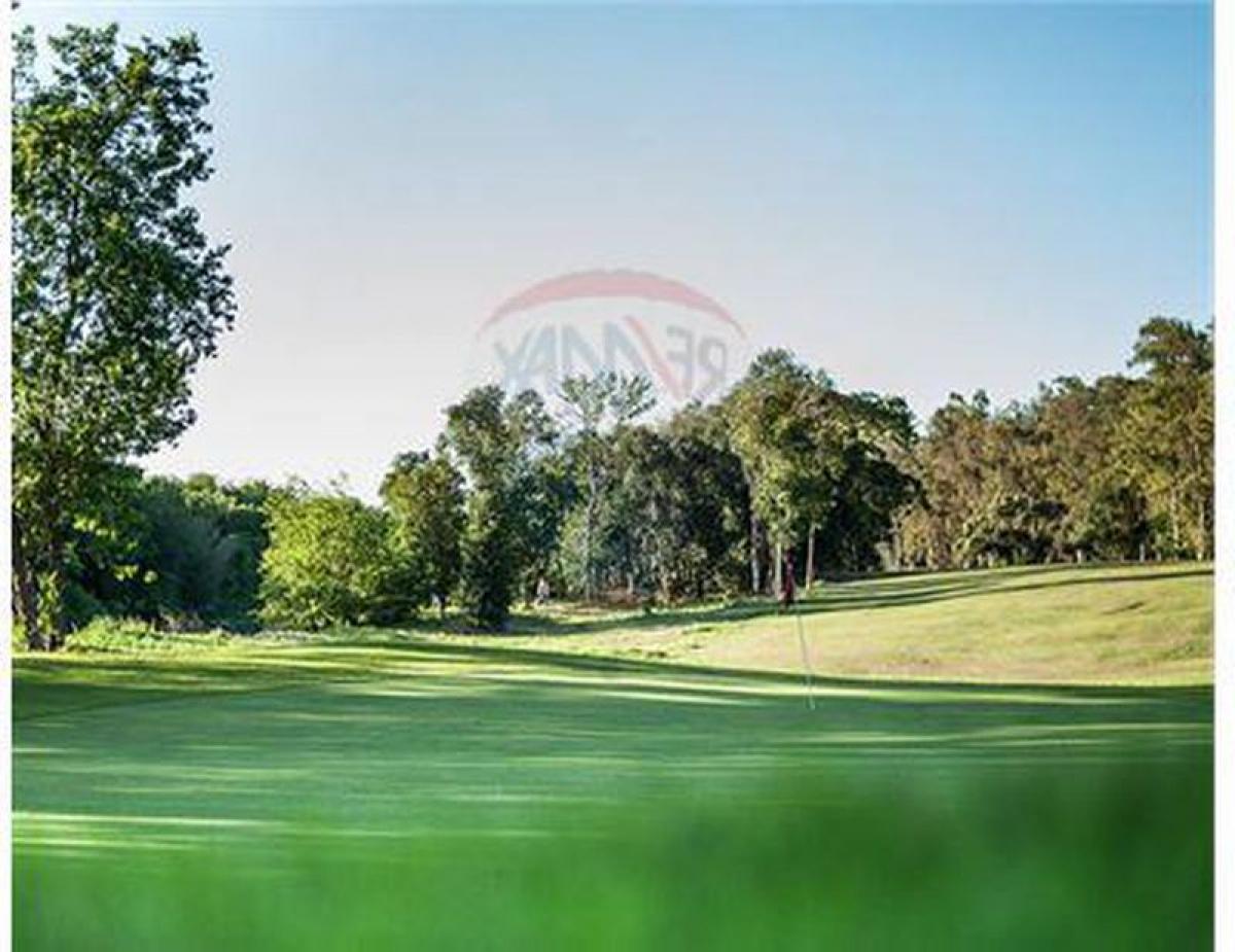  Land in Santa Fe, Argentina No. 43801