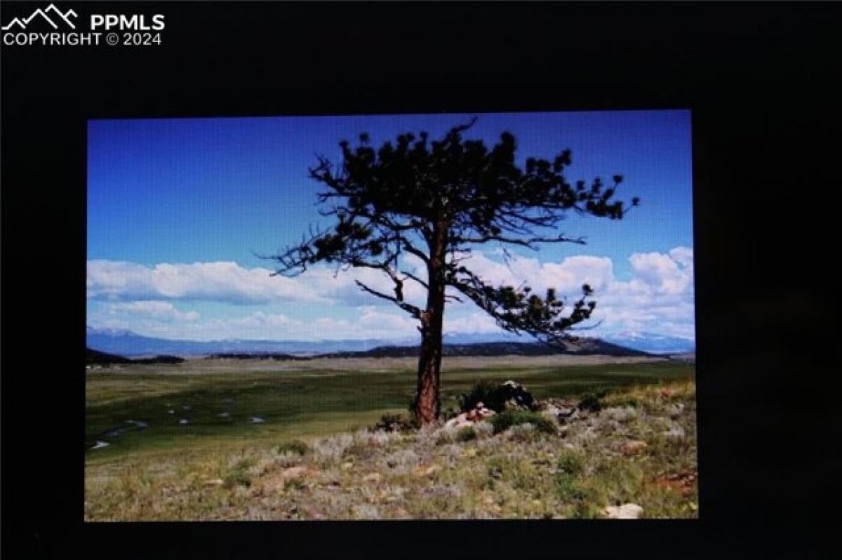  Land in Hartsel, USA No. 514129