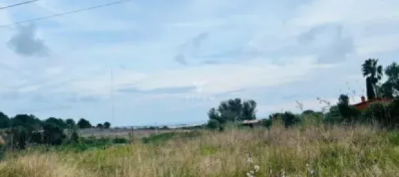 Apartamento de 3 dormitorios en L'Eixample, Spain No. 101538 3