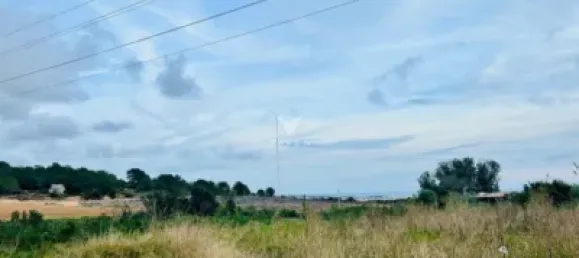 Apartamento de 3 dormitorios en L'Eixample, Spain No. 101538 4