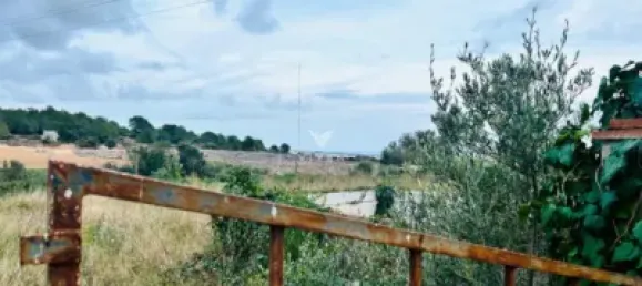 Apartamento de 3 dormitorios en L'Eixample, Spain No. 101538 5