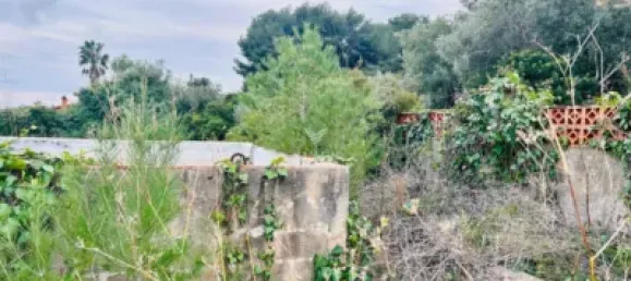 Apartamento de 3 dormitorios en L'Eixample, Spain No. 101538 7