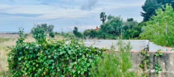 Apartamento de 3 dormitorios en L'Eixample, Spain No. 101538 8