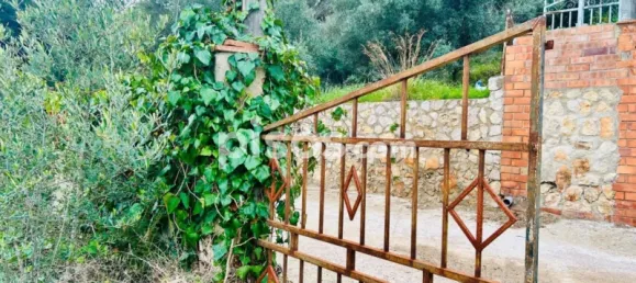 Apartamento de 3 dormitorios en L'Eixample, Spain No. 101538 6