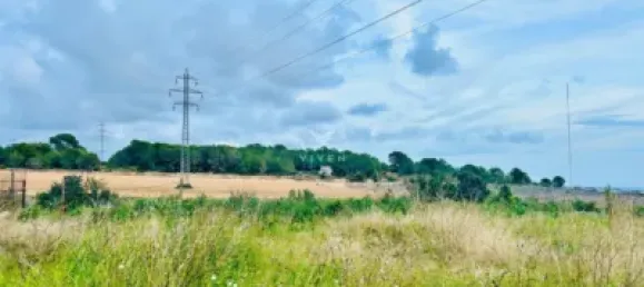 Apartamento de 3 dormitorios en L'Eixample, Spain No. 101538 2