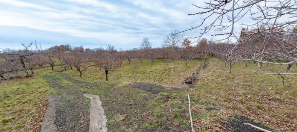 3 rooms House in Santa Maria di Licodia, Italy No. 88308 7