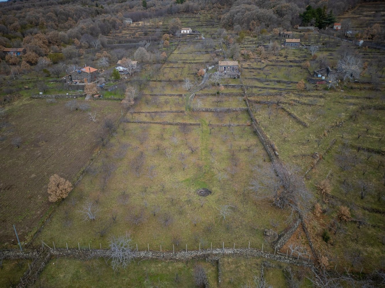 3 rooms House in Santa Maria di Licodia, Italy No. 88308