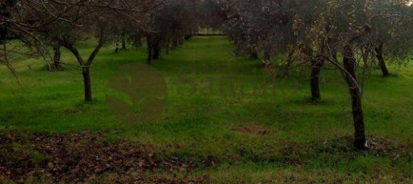 Вилла с 3 спальнями в Галликано нель Лацио, Италия № 375284 33