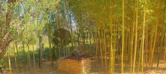 Вилла с 3 спальнями в Галликано нель Лацио, Италия № 375284 39