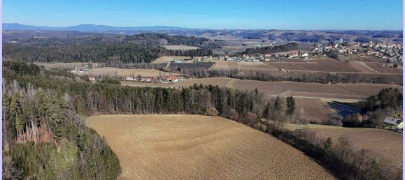 Land in Kirchberg an der Raab, Austria No. 230929 12