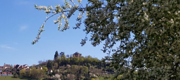 Квартира с 1 спальней в Штутгарт, Германия № 236247 5