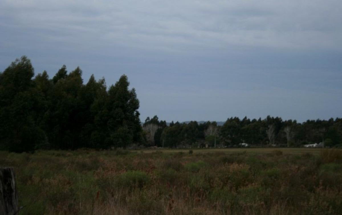 Ферма в Мальдонадо, Уругвай № 14959