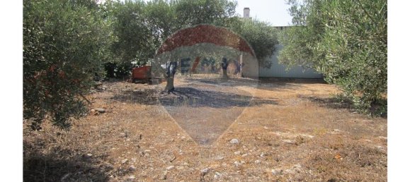 23360m² Land in Santarem, Portugal No. 82836 49