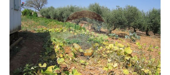 23360m² Land in Santarem, Portugal No. 82836 8