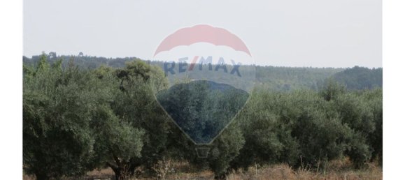 23360m² Land in Santarem, Portugal No. 82836 26