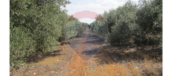 23360m² Land in Santarem, Portugal No. 82836 31