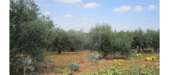 23360m² Land in Santarem, Portugal No. 82836 37