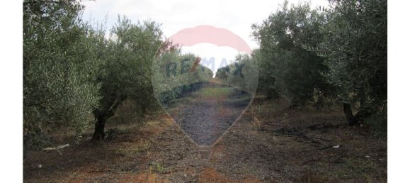 23360m² Land in Santarem, Portugal No. 82836 29